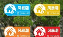 融创爆料最新消息新闻视频,揭秘新闻视频背后的关键信息